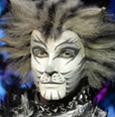 Cats al cinema